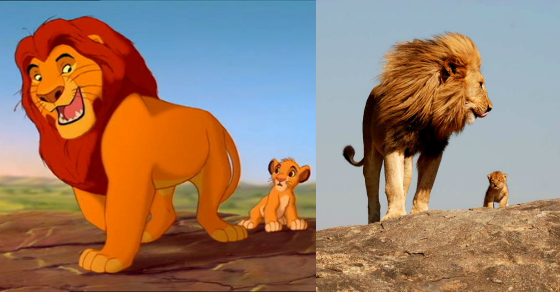 Proof Lion King True Story
