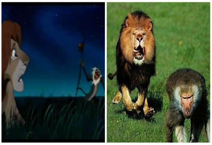 Proof Lion King True Story