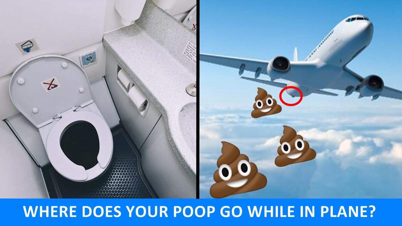 Where Does The Feces Go On An Airplane Airplane Walls