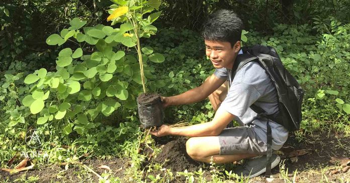 citi philippines global community day 2014 tree planting batangas